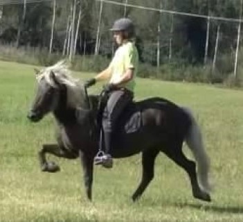Njóla från Blåsbotorpet